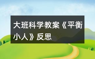 大班科學(xué)教案《平衡小人》反思