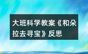 大班科學(xué)教案《和朵拉去尋寶》反思