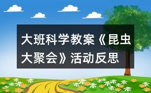 大班科學教案《昆蟲大聚會》活動反思