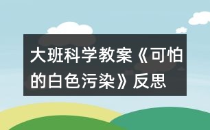 大班科學(xué)教案《可怕的白色污染》反思