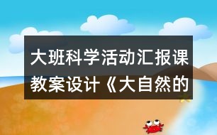 大班科學(xué)活動匯報課教案設(shè)計《大自然的聲音》