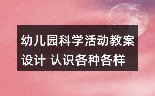 幼兒園科學(xué)活動教案設(shè)計 認識各種各樣的飛機反思