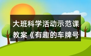 大班科學(xué)活動(dòng)示范課教案《有趣的車牌號(hào)》