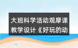 大班科學活動觀摩課教學設(shè)計《好玩的動畫》