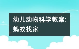 幼兒動物科學教案:螞蟻找家