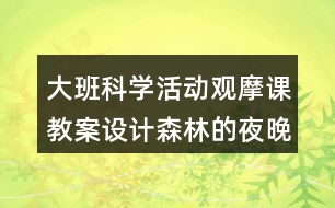 大班科學(xué)活動觀摩課教案設(shè)計(jì)森林的夜晚