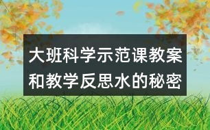 大班科學示范課教案和教學反思水的秘密