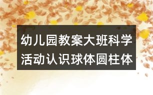 幼兒園教案大班科學(xué)活動認(rèn)識球體圓柱體反思