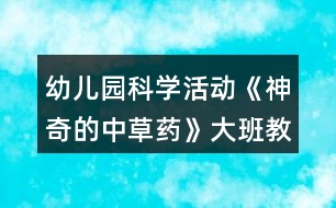 幼兒園科學活動《神奇的中草藥》大班教案反思