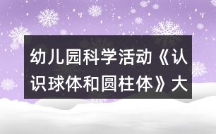 幼兒園科學(xué)活動《認(rèn)識球體和圓柱體》大班教學(xué)設(shè)計