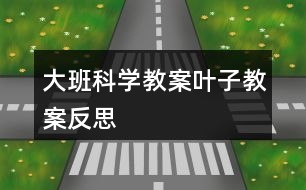 大班科學教案葉子教案反思