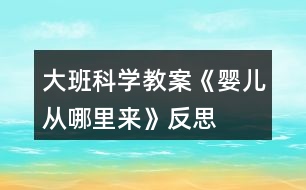 大班科學(xué)教案《嬰兒從哪里來》反思