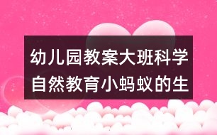 幼兒園教案大班科學(xué)自然教育小螞蟻的生日會反思