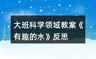 大班科學(xué)領(lǐng)域教案《有趣的水》反思