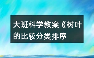 大班科學(xué)教案《樹葉的比較、分類、排序》反思