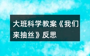 大班科學(xué)教案《我們來抽絲》反思