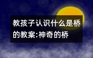 教孩子認(rèn)識(shí)什么是橋的教案:神奇的橋