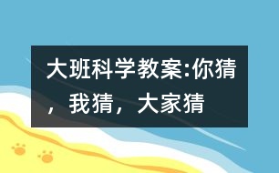 大班科學教案:你猜，我猜，大家猜