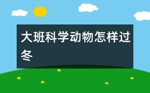 大班科學動物怎樣過冬