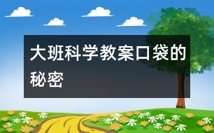 大班科學(xué)教案口袋的秘密