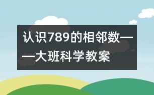 認識7、8、9的相鄰數(shù)――大班科學教案