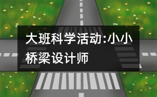 大班科學(xué)活動(dòng):小小橋梁設(shè)計(jì)師