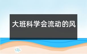 大班科學(xué)：會流動的風(fēng)