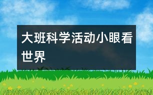 大班科學(xué)活動(dòng)：小眼看世界