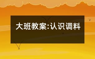 大班教案:認識調(diào)料