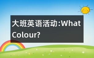 大班英語活動(dòng):What Colour?