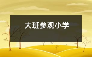 大班：參觀小學(xué)