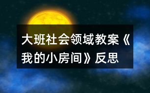 大班社會(huì)領(lǐng)域教案《我的小房間》反思