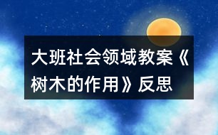 大班社會(huì)領(lǐng)域教案《樹木的作用》反思