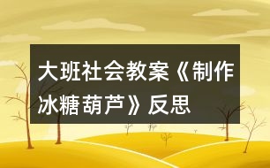 大班社會(huì)教案《制作冰糖葫蘆》反思