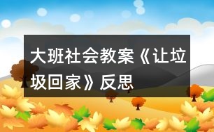 大班社會(huì)教案《讓垃圾回家》反思