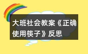 大班社會(huì)教案《正確使用筷子》反思