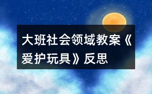 大班社會領(lǐng)域教案《愛護玩具》反思