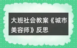 大班社會教案《城市美容師》反思