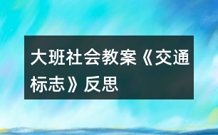 大班社會教案《交通標(biāo)志》反思