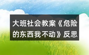 大班社會(huì)教案《危險(xiǎn)的東西我不動(dòng)》反思