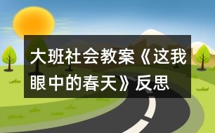 大班社會(huì)教案《這我眼中的春天》反思