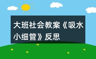 大班社會教案《吸水小細管》反思