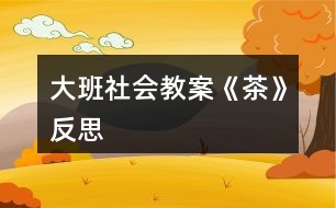 大班社會(huì)教案《茶》反思