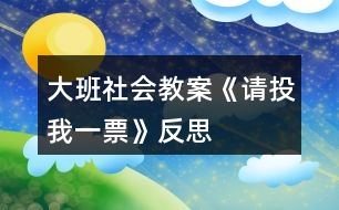 大班社會教案《請投我一票》反思