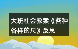 大班社會(huì)教案《各種各樣的尺》反思