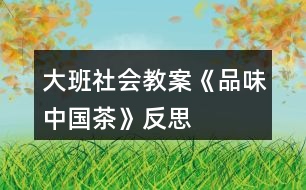 大班社會教案《品味中國茶》反思