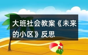 大班社會教案《未來的小區(qū)》反思