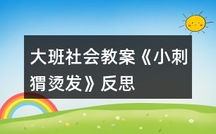 大班社會教案《小刺猬燙發(fā)》反思