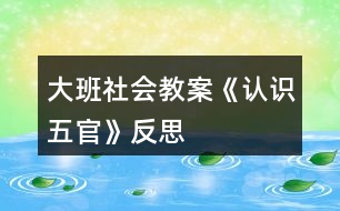 大班社會(huì)教案《認(rèn)識(shí)五官》反思