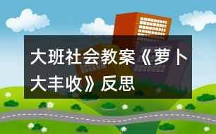 大班社會(huì)教案《蘿卜大豐收》反思